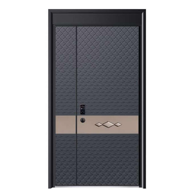 �����T�Xϵ��