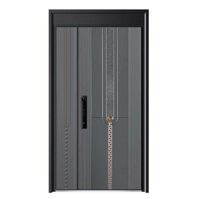 �����T�Xϵ��