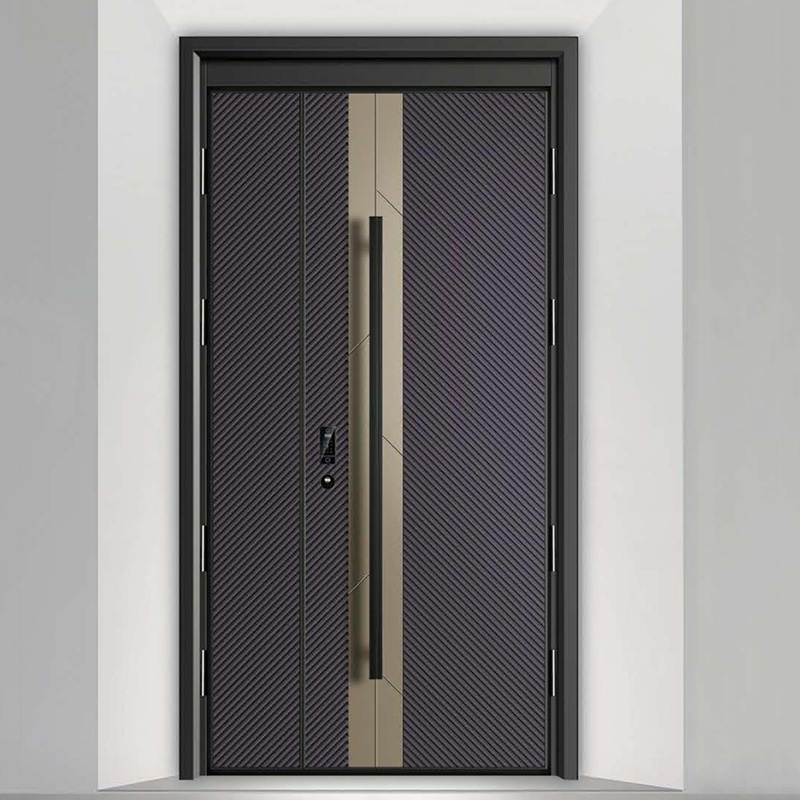 �����T�Xϵ��