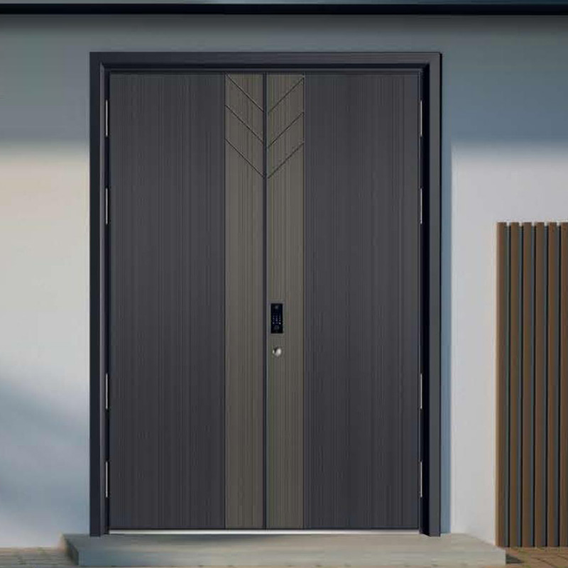 �����T�Xϵ��