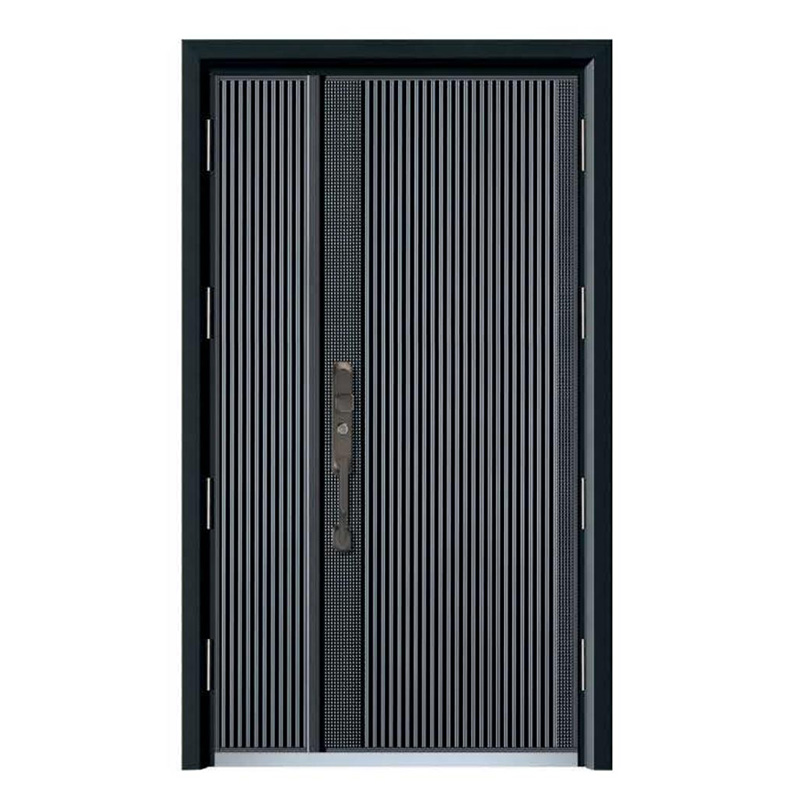 �����T�Xϵ��